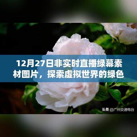 探索虚拟世界舞台,绿幕素材图片直播