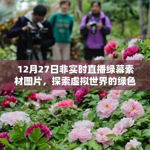 探索虚拟世界舞台,绿幕素材图片直播