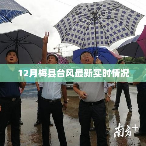 梅县台风最新实时消息，12月台风动态