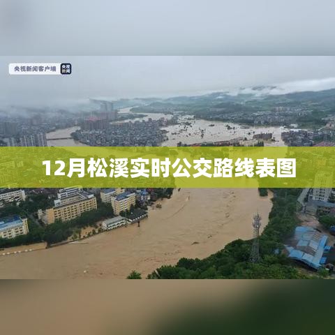 雍容华贵 第4页