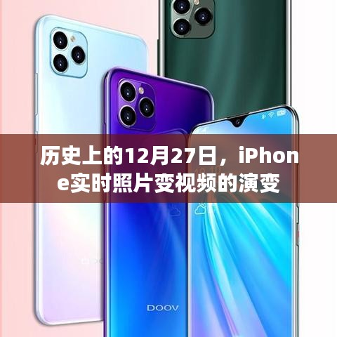 别出新意 第3页