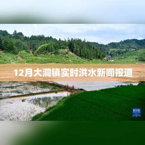 大洞镇洪水实时报道，最新汛情资讯关注