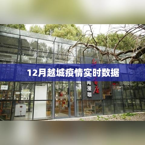 越城疫情最新实时数据通报