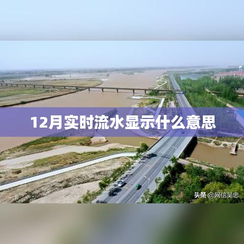 飞鸟依人 第3页