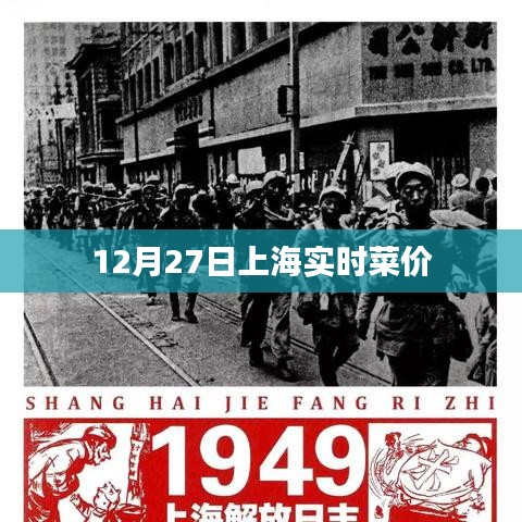 上海实时菜价更新,最新蔬菜价格信息