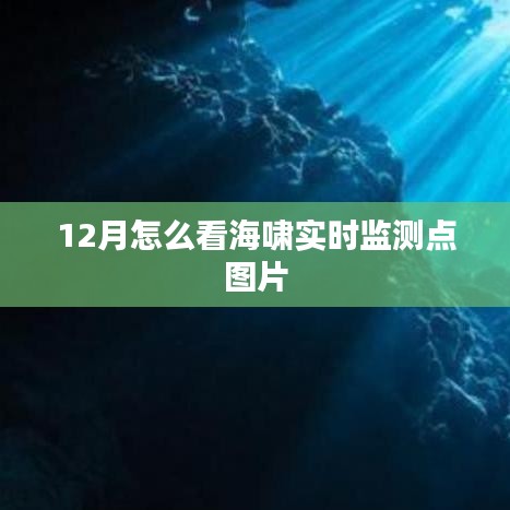 12月海啸实时监测点图片全解析
