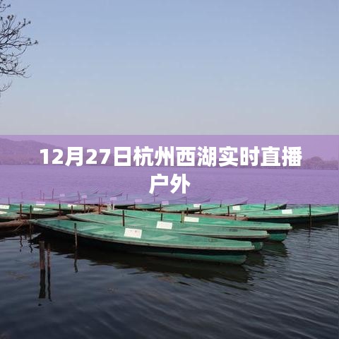 在线咨询 第232页