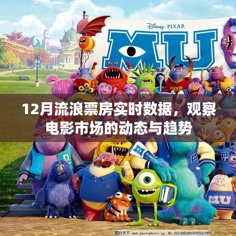 12月流浪票房数据观察，电影市场动态实时解析