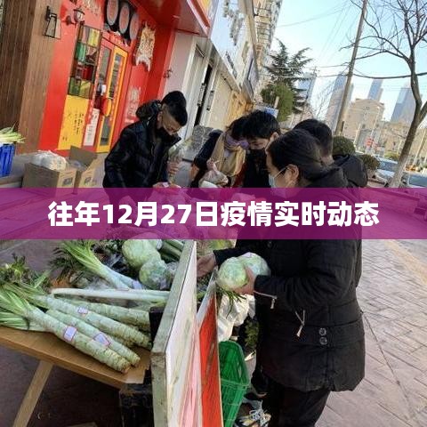 疫情实时动态，历年十二月二十七日数据概览