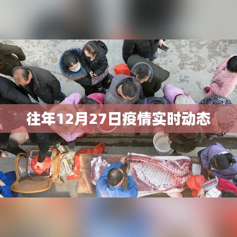 疫情实时动态,历年十二月二十七日数据概览
