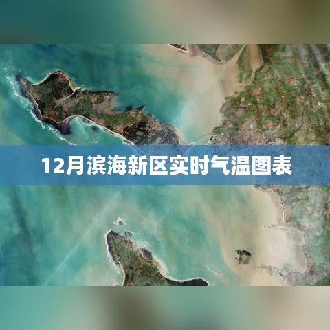 滨海十二月实时气温走势图
