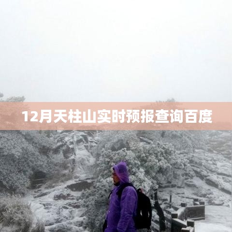 天柱山实时天气预报查询(百度收录)