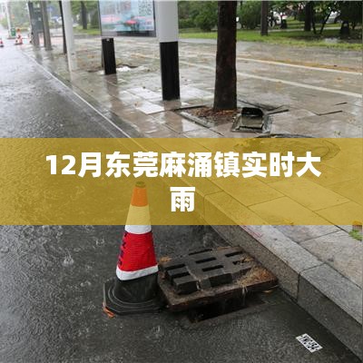 东莞麻涌镇12月实时降雨情况