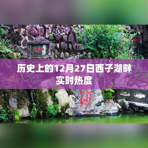 联系方式 第223页