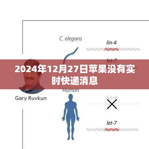 关于苹果快递的最新消息速递