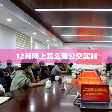12月公交实时查询攻略
