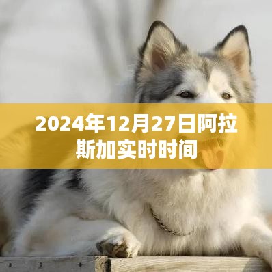 阿拉斯加时间实时查询,2024年12月27日