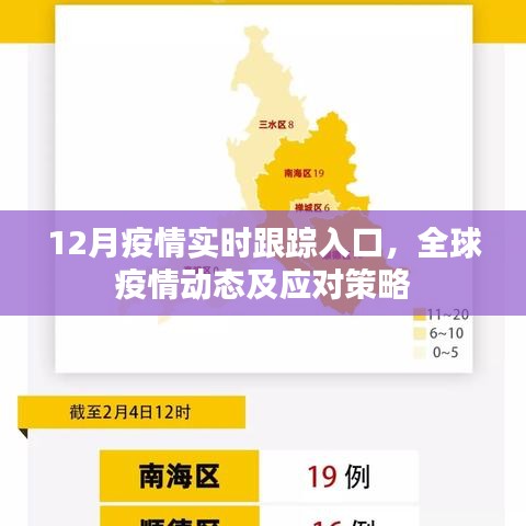 全球疫情实时跟踪入口，动态更新与应对策略