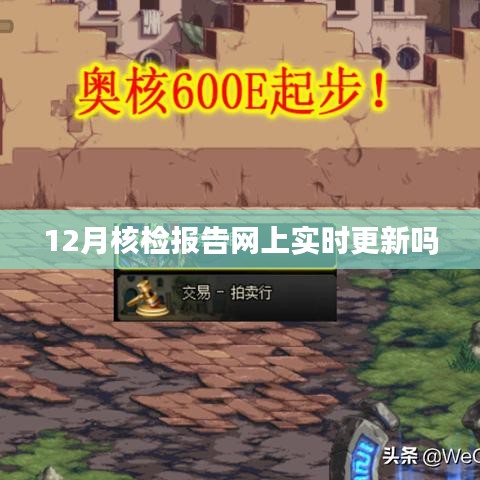 核检报告实时更新查询指南