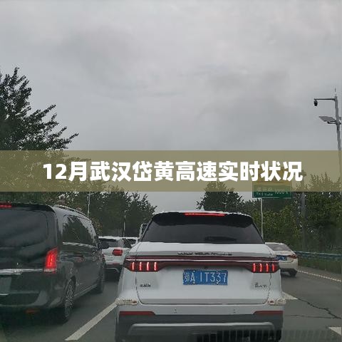 武汉岱黄高速最新实时路况(12月)