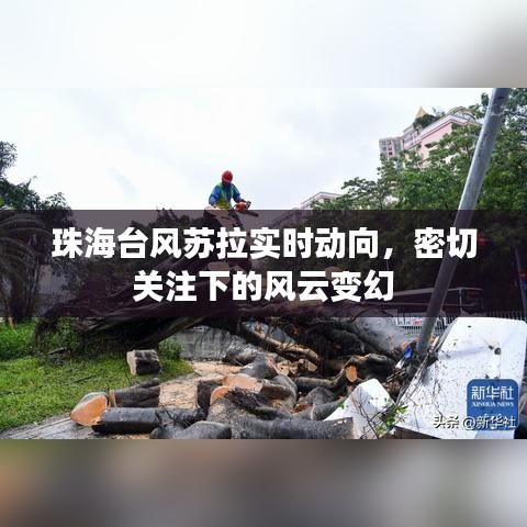 珠海台风苏拉最新动态，风云变幻紧密关注