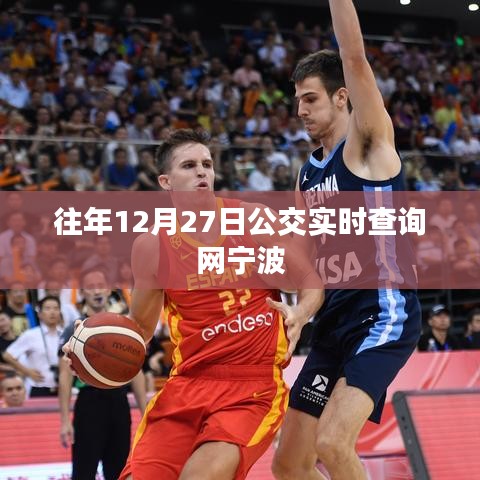 宁波公交实时查询网历年数据解析
