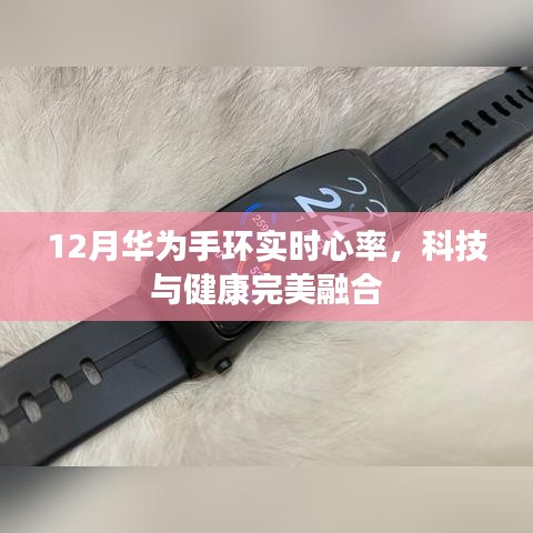 华为手环实时心率监测,科技与健康融合新体验