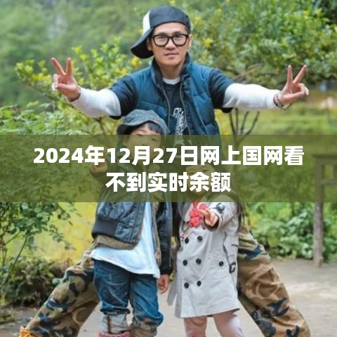 网上国网实时余额查看问题解析