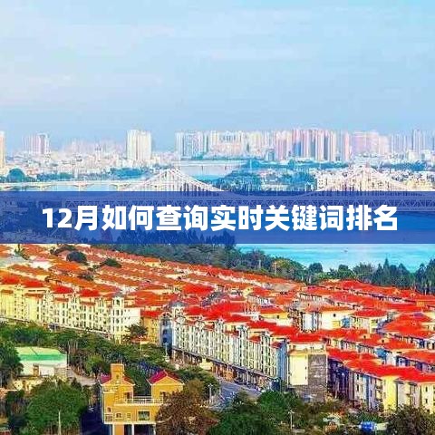 12月实时关键词排名查询攻略