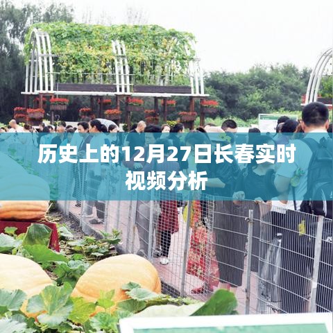 历史上的长春实时视频分析，揭秘十二月二十七日事件