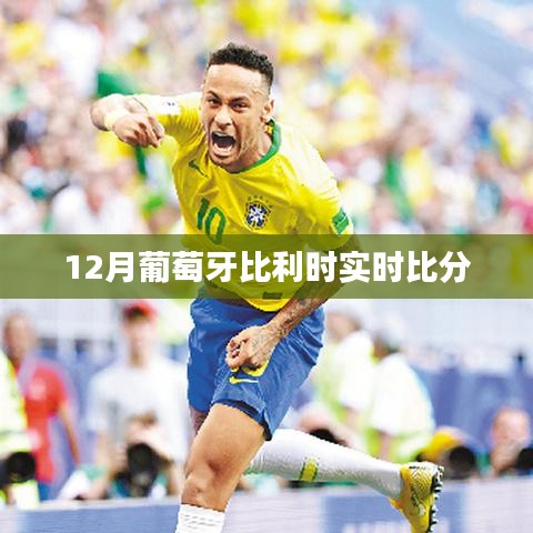 葡萄牙VS比利时12月实时赛况比分速递