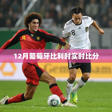 葡萄牙VS比利时12月实时赛况比分速递