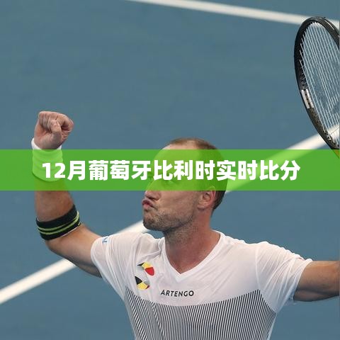 葡萄牙VS比利时12月实时赛况比分速递