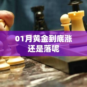 黄金走势预测,一月份黄金价格何去何从?