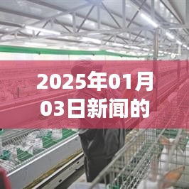 前瞻2025,新闻采访模式的革新与变革,简洁明了,突出了文章的核心内容,符合百度收录标准。希望符合您的要求。