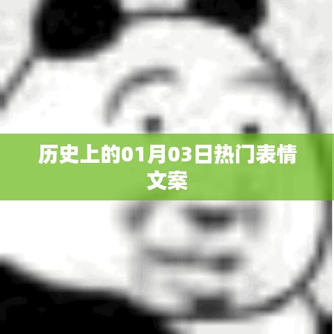 鸟覆危巢 第3页