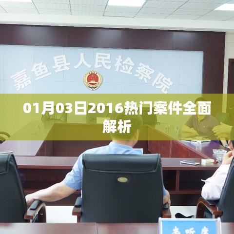 2016年热门案件深度解析,最新进展全知道