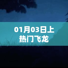 飞龙在热门，揭秘成功背后的秘密