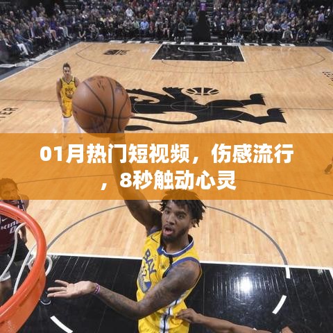 精选伤感流行短视频,触动心灵的时刻