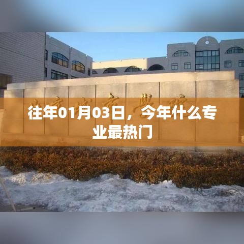 今年热门专业盘点，最新趋势与选择推荐