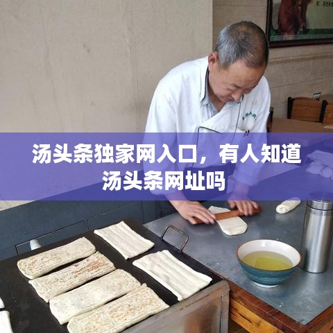 汤头条独家网入口,有人知道汤头条网址吗