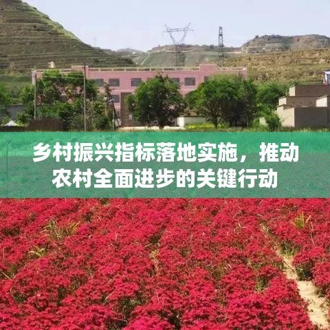 乡村振兴指标落地实施，推动农村全面进步的关键行动