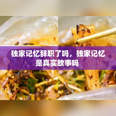 独家记忆辞职了吗,独家记忆是真实故事吗