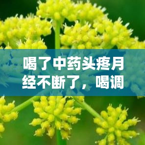 喝了中药头疼月经不断了，喝调经的中药头晕 