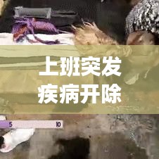 上班突发疾病开除事件,法律边界与人道关怀的深思