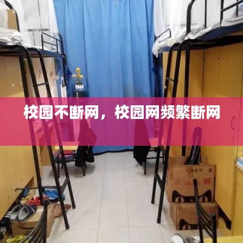 校园不断网，校园网频繁断网 