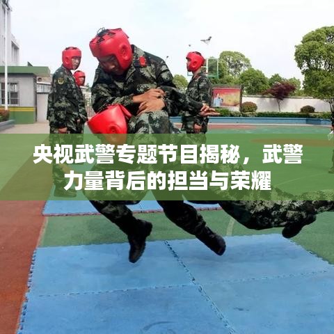 央视武警专题节目揭秘，武警力量背后的担当与荣耀