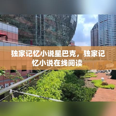 独家记忆小说星巴克,独家记忆小说在线阅读
