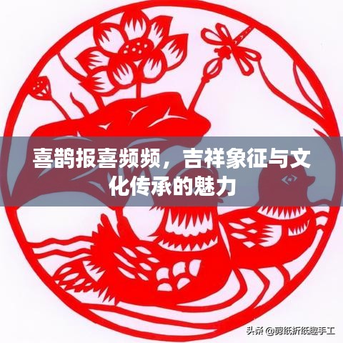 喜鹊报喜频频，吉祥象征与文化传承的魅力