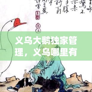 义乌大鹅独家管理，义乌哪里有鹅卖 